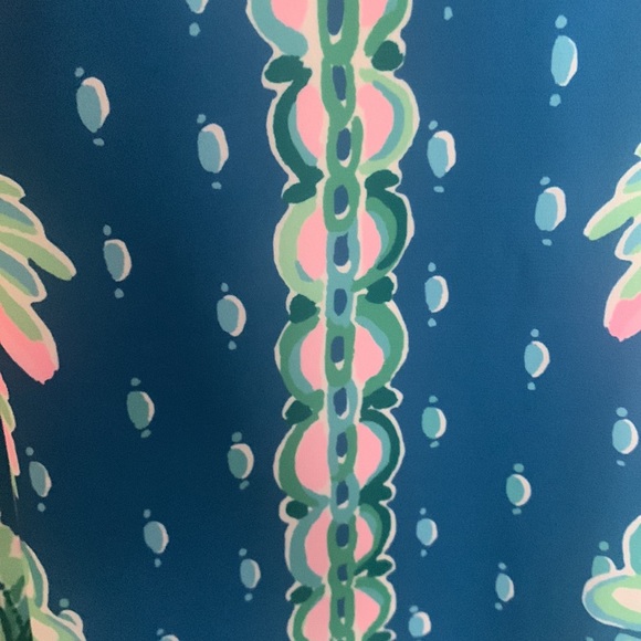 EUC Lilly Pulitzer Dress- M - Picture 3 of 6